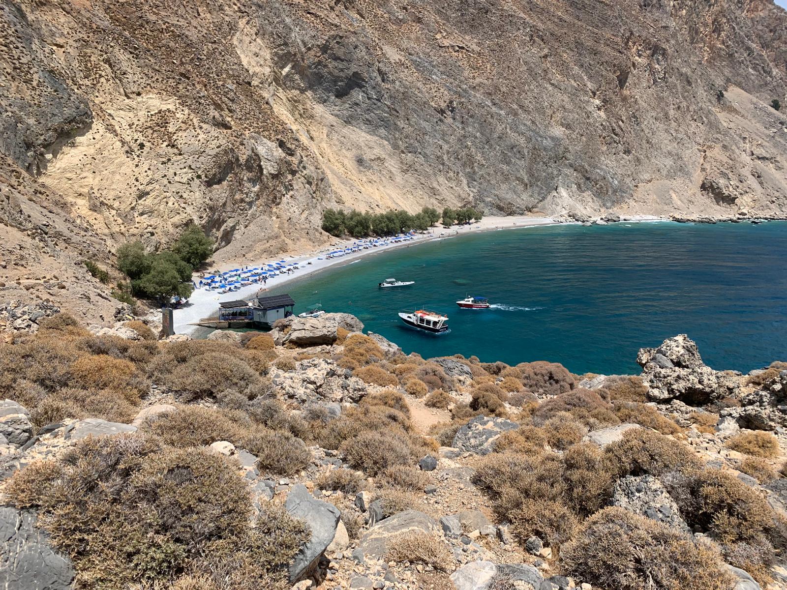 The Medly Summer Wine Guide: What to Sip, Pair, and Pack All Season Long