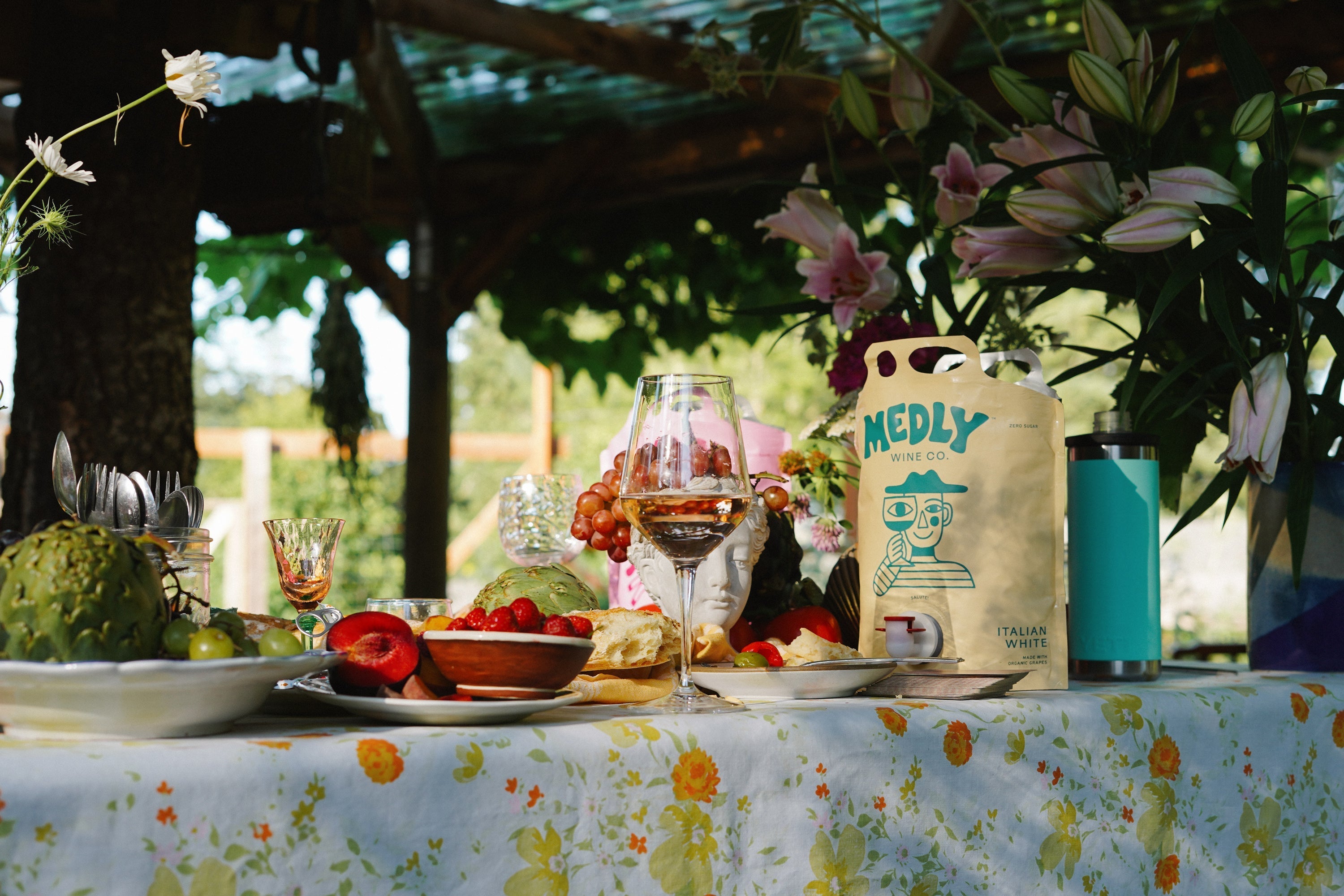 Steak & Sip: How to Pair Medly’s Organic Red with Your Favorite Cuts